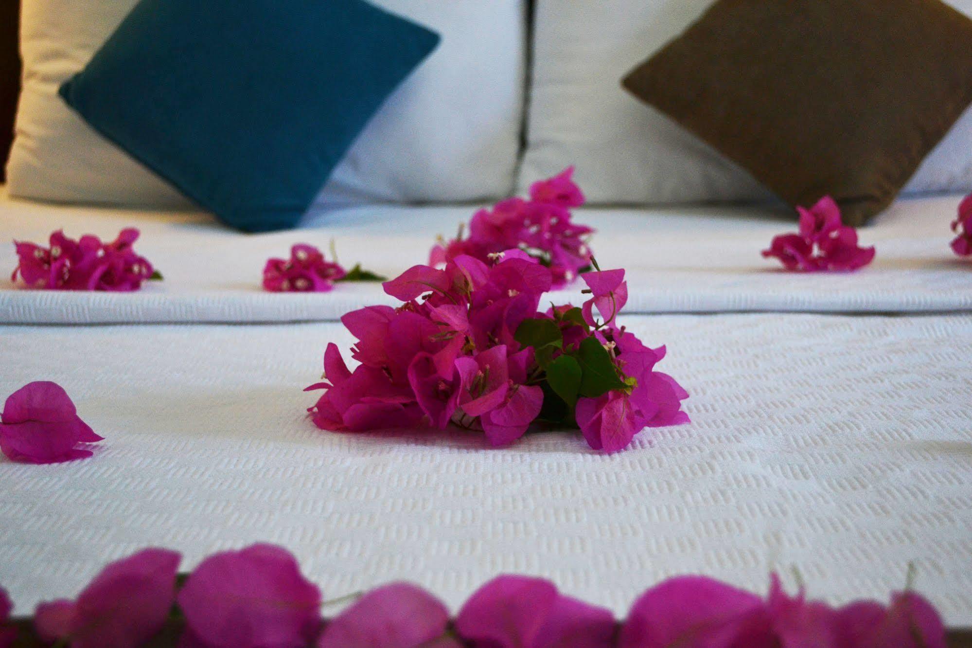 Oskay Hotel Dalyan Ngoại thất bức ảnh